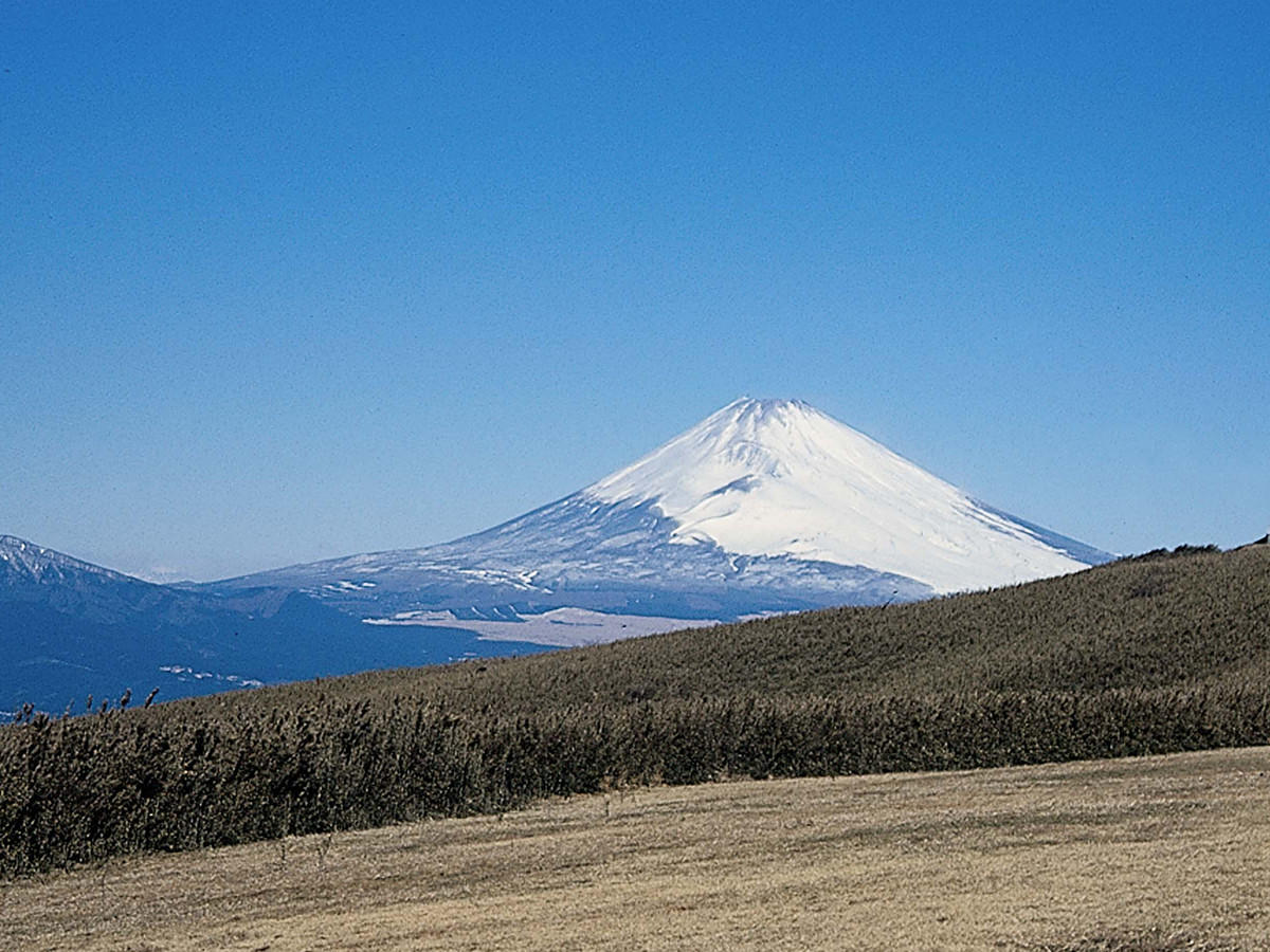 隣接するなだらかな丘陵地では、富士山や駿河湾、沼津の市街地などが望める絶景ポイントです。