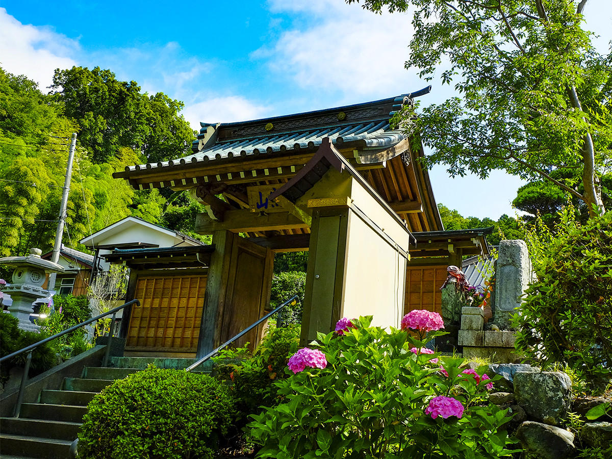 400年以上の歴史がある慶林寺。紫陽花が美しいお寺です。