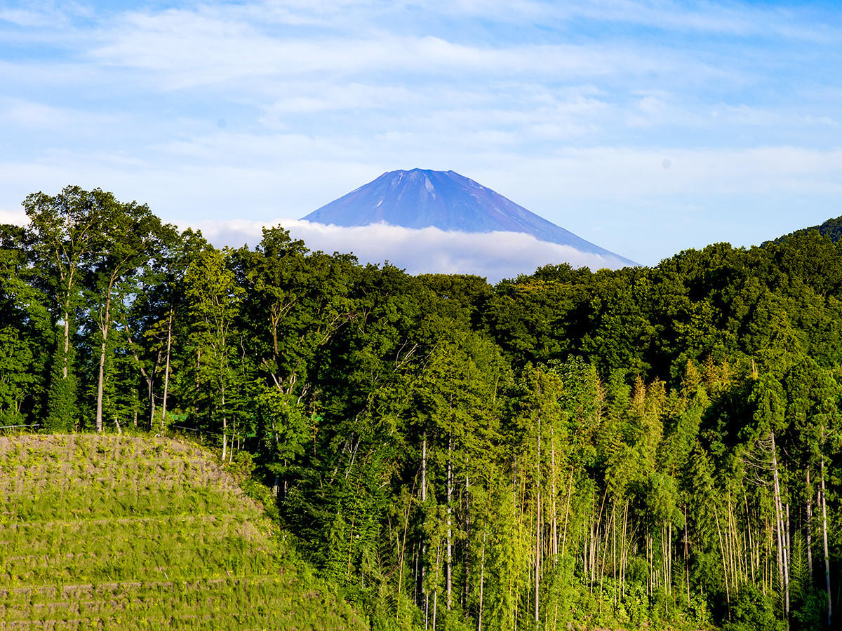 天気の良い日は富士山を望むことも可能です。