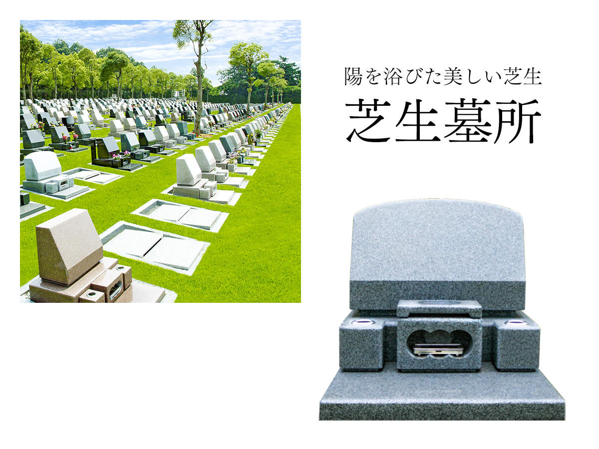 芝生墓所：気持ちの良い芝生の空間に広がる洋型の墓地です。